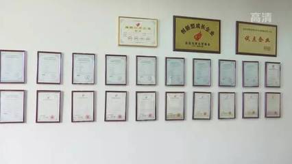 雷幫軍 以智慧之眼賦能宜昌，開拓軟件開發新紀元